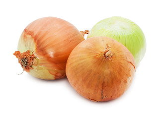 Image showing Onion