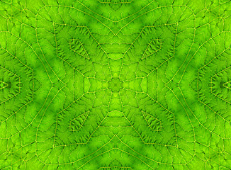 Image showing Green leaf abstract pattern