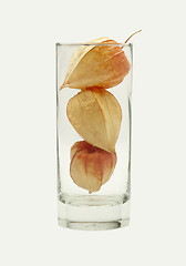Image showing physalis in the glass