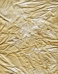 Image showing tissue background