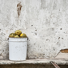 Image showing pumpkins in the bucket