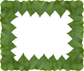 Image showing Lilac leaf frame