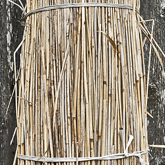 Image showing Sheaf of straw