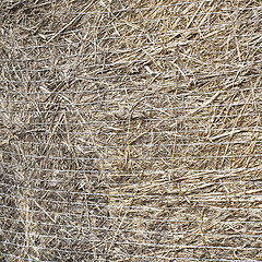 Image showing straw bale