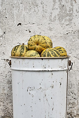 Image showing pumpkins in the bucket near the wall