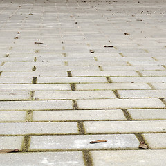 Image showing Tile pavement in autmn