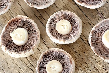 Image showing brown mushrooms