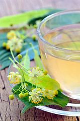 Image showing Cup of tea and linden flowers