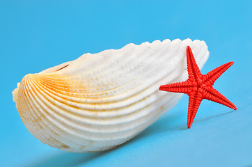 Image showing seashell and starfish