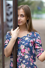 Image showing Portrait of a brunette