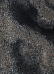 Image showing Dark artificial fur background