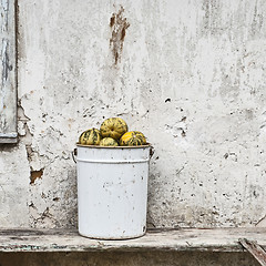 Image showing pumpkins in the bucket near the wall