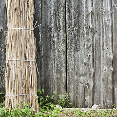 Image showing Sheaf of straw