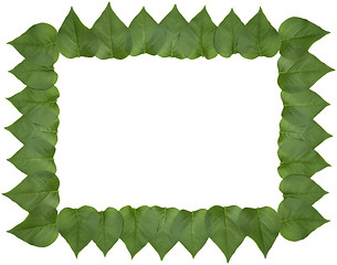 Image showing Lilac leaf frame