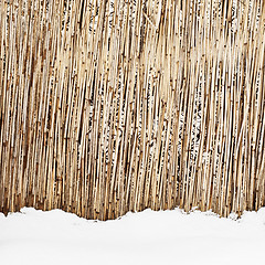 Image showing fence of dry cane in winter