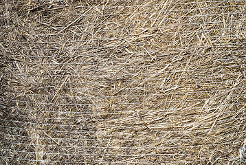 Image showing straw bale