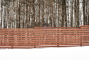 Image showing fence near the forest