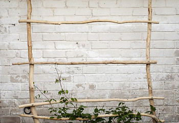 Image showing Green creeper plant climbing a  ladder