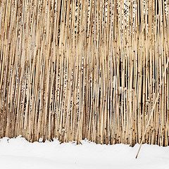 Image showing fence of dry cane in winter