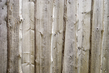 Image showing wood texture