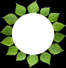 Image showing circle frame of leaf