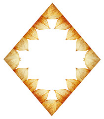 Image showing rhombus frame of Physalis