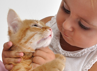 Image showing baby child playing with a kitten