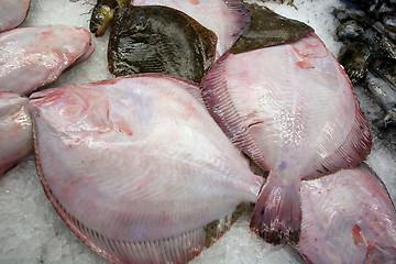 Image showing fresh raw flatfishes