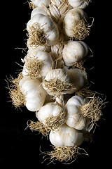 Image showing Garlic plait