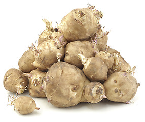 Image showing Sunchoke vegetable