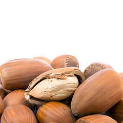 Image showing Hazelnut cutout