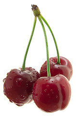 Image showing Three sweet cherry cutout