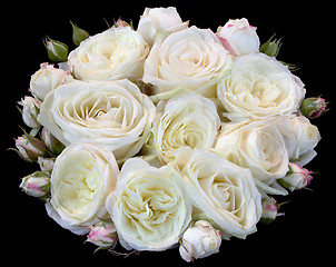 Image showing Bouquet of Roses Cutout