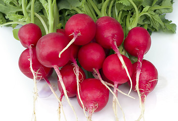 Image showing Red Radish