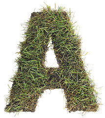 Image showing Grassy Letter A Cut Out