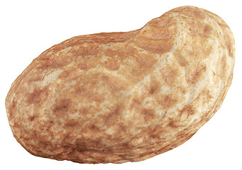 Image showing One Peanut Cutout