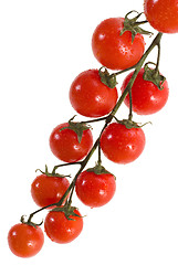 Image showing Cherry tomatoes