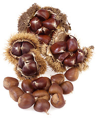 Image showing Chestnuts