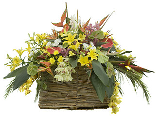 Image showing Flowers in Reed Flowerpot