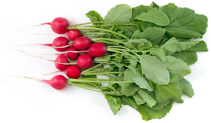 Image showing Radish