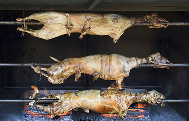 Image showing Spit Roasted Lamb