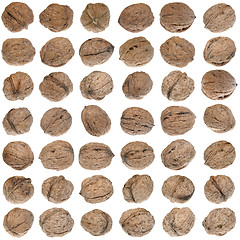 Image showing Walnuts