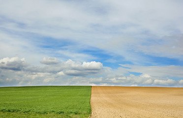 Image showing Spring fields