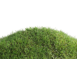 Image showing Simple Grassy Hill Cutout