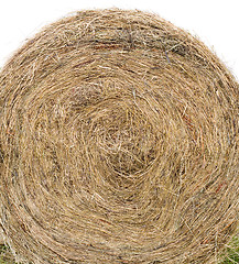 Image showing Bale of hay