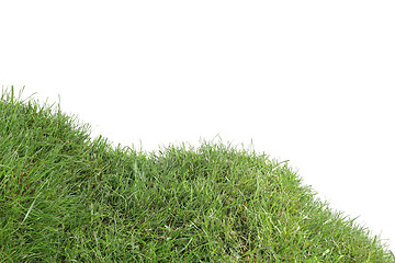 Image showing Grassy Down Hill Cutout