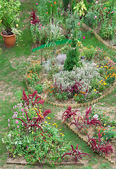 Image showing Backyard Garden