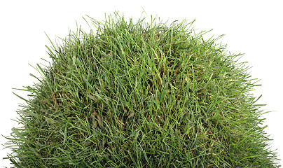 Image showing Grassy Tumulus Hill