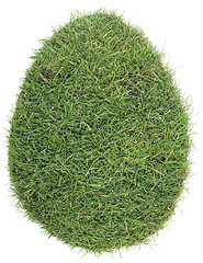 Image showing Egg Shape of Grass Turf Cutout