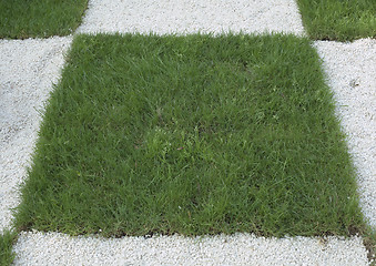 Image showing Checkered Grass